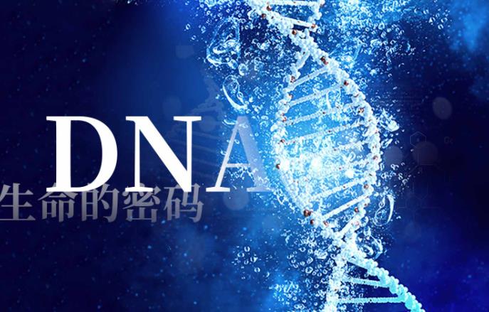 解讀生命的密碼——DNA